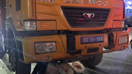 ТҮЦ-ийг нь нүүлгэнэ гэхэд хазаж, маажиж, машин доогуур орж хэвтэж, сүрдүүлж байна