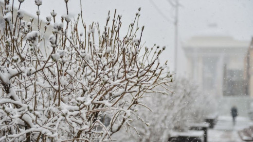 ​Өнөөдрөөс ихэнх нутгаар хүйтний эрч суларна