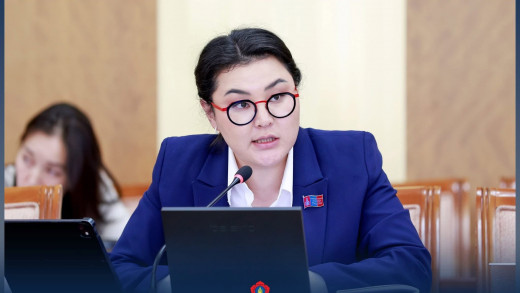 Э.Болормаа: МАНай ах нар бол хамгийн зэрлэг капиталист нөхдүүд гэдгийг ойроос харж, мэдэрч байна
